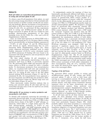 RESULTS
Both IgH alleles are transcribed and positioned similarly
in resting and activated splenic B cells
To obtain a pure B cell population from spleen, we used
the cell-sorting strategy described in (18) but included add-
itional markers to further exclude non-B cells (see mater-
ials and methods). Because recruitment of non-productive
IgH alleles to PCH was observed in activated but not in
resting B cells (18), we performed 4C-Seq experiments
both in resting and aCD40-activated splenic B cells.
Proper activation of splenic B cells was veriﬁed by gene
proﬁling, demonstrating upregulation of key genes
including Aicda, IL-5R, CD44, Fas, c-Myc and cyclin D2
(Supplementary Table S2).
First, we tested IgH expression by RNA-FISH with a
BAC probe spanning the Cm–JH–D region. Both in resting
and in activated B cells, we detected biallelic expression in
$75–80% of cells (Figure 1A and B). RNase-treated
cells showed no signals, demonstrating that we were
measuring RNA (Supplementary Figure S1). These
results supported previously published work in which
biallelic expression (19,30,31), active chromatin marks
and RNA polymerase II binding (30) were found to be
associated with both productive and non-productive IgH
alleles in mature B cells.
We then asked whether B cell stimulation is
accompanied by allele-speciﬁc repositioning of the non-
productive IgH locus to PCH, as previously reported
(18). We performed DNA FISH and measured IgH dis-
tances relative to PCH, as stained for with a g-satellite
probe. To discriminate productive from non-productive
alleles, we visualized both IgH ends and assumed that
the most contracted locus represented the productive
allele (15). In resting B cells, none of the IgH alleles
showed striking PCH proximity (Figure 1C and D). In
stimulated B cells, the non-productive locus appeared a
bit more frequently near PCH than the productive allele,
but physical contacts within the 300 nm range were rare
for both alleles (Figure 1E and F).
These microscopy studies therefore indicate that in
resting and activated splenic B cells both IgH loci are
transcribed and that none of the two IgH loci are closely
associated with PCH.
Allele-speciﬁc 4C-seq strategy to analyze productive and
non-productive IgH alleles
To identify cells exclusively expressing the paternally or
maternally derived IgH allele, we took advantage of IgM
allotype differences: B cells from FVB or C57BL/6 mice
produce heavy chains of the IgMa
or IgMb
allotype, re-
spectively, which differ in a single amino acid (32). We
used allotype-speciﬁc antibodies in FACS to sort
separate pools of IgMa
- and IgMb
-expressing splenic B
cells from (FVB[IgMa
] Â C57BL/6[IgMb
]) F1 mice. Both
resting and aCD40-activated splenic B cell fractions were
sorted into two populations: one with cells carrying a pro-
ductive FVB[IgMa
] and a non-productive C57BL/6 allele,
and another with cells carrying a productive C57BL/
6[IgMb
] and a non-productive FVB allele (Figure 2A).
To independently analyze the topology of these two
functionally and physically different IgH alleles, we used
allele-speciﬁc 4C-seq technology. 4C-seq enables the gen-
eration of genome-wide DNA contact proﬁles of a
chromosomal sequence of interest, called the ‘viewpoint’
(24,25). In this allele-speciﬁc 4C-seq variant, we took ad-
vantage of C57BL/6 or FVB haplotype-speciﬁc single nu-
cleotide polymorphisms (SNPs). We designed a strategy
based on paired-end (PE) sequencing, whereby PE1
analyzes 4C ligation products and therefore identiﬁes
DNA contact partners, while PE2 reads a SNP inside
the ‘viewpoint’ fragment and therefore links the PE1
contact proﬁle to either the C57BL/6 or the FVB allele.
Thus, the paired-end 4Cseq strategy (PE-4Cseq) enables
independent but simultaneous analysis of both alleles,
which is different from a previously developed method
that uses single-end 4Cseq (SE-4Cseq) to analyze only
one of the two alleles in a cell population (25). Three
PE-4Cseq viewpoints were designed: 30
RR, near the
upstream 30
regulatory region; C
3, inside the Cg3
region and d-VH, in the distal-VHJ558 region. A fourth
viewpoint, Upstream-IgH (Up-IgH), at the 50
end of
IgH just beyond the most distal VH gene (Figure 2B),
was used for allele-speciﬁc analysis based on SE-4Cseq
(Supplementary Figure S2). The B cell populations
studied consist of cells with differently rearranged IgH
alleles. Three of the four 4Cseq viewpoints reside outside
the V(D)J rearranged part of IgH and therefore enable
DNA contact assessment of both alleles independent of
their rearrangement. Only the d-VH viewpoint resides
just inside the distal-VHJ558 region and may therefore
miss a few rearranged alleles.
Topology of the IgH locus
We generated DNA contact proﬁles in resting and
aCD40-activated splenic B cells, resting and aCD3-
activated splenic T cells as well as fetal brain cells
(serving as a non-lymphoid control). All 4C-seq proﬁles
showed the typical contact distribution expected from
polymer physics, with high contact frequencies between
sequences close on the linear chromosome and with
intrachromosomal captures being preferred over
interchromosomal contacts (Supplementary Figure S3)
(29). C57BL/6- and FVB-speciﬁc 4C-seq proﬁles were es-
sentially identical; we show C57BL/6-speciﬁc proﬁles,
unless speciﬁed as in Supplementary Figure S4.
In all cell types and for all three internal IgH view-
points, the most abundant local contacts appeared
conﬁned to the $3 Mb IgH locus (Figure 3A and B). In
B lymphocytes, contacts made between the two ends of the
locus were particularly frequent (Figure 3D), which
probably reﬂects close linear proximity as a consequence
of VH-to-DJH recombination. Rapid drops in contact
frequencies suggestive of structural boundaries were seen
at either end of the locus. The 30
IgH boundary is best
appreciated by the 4C-seq plots of the two closest view-
points, 30
RR and C
3. Both showed loss in contact
frequencies just beyond the 30
RR (Figure 3A–C). The 50
IgH boundary is evident from the contact proﬁles of
the two 50
viewpoints. d-VH, inside the IgH locus,
Nucleic Acids Research, 2013, Vol. 41, No. 14 6907
byguestonNovember30,2015http://nar.oxfordjournals.org/Downloadedfrom
 