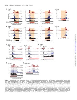 Figure 3. 4C-seq proﬁles reveal allele-speciﬁc contacts in B cells and high-resolution deﬁnition of the topological domain spanning the IgH locus.
(A) Contact proﬁles in resting B cells for the C57BL/6 allele across the IgH locus looking from four different 4C viewpoints depicted by red triangles,
from left to right: 30
RR (i), C
3 (ii), d-VH (iii) and Up-IgH (iv). Per viewpoint the different tissues are plotted (from top to bottom): B cell productive
allele (red) and non-productive allele (grey), T cell (blue) and fetal brain (black). A schematic representation showing the regulatory elements (blue),
the C (grey) and V(red) regions of the IgH locus and the different regions within the V-region (proximal—middle—distal), as well as the chromo-
somal location in Megabase (Mb) is given at the bottom. The topological domain is depicted in shaded red. The Y-axis represents the normalized
captured sequencing reads analyzed with a running median of 21 HindIII fragments, in arbitrary units. (B) Contact proﬁles in activated B cells.
(C) Zoom of the 30
-border (dotted line) of the topological domain looking from the d-VH 4C viewpoint in resting splenic B cells. The black line above
each track indicates the region where the productive allele in B cells has only few interactions compared with the other alleles. (D) Zooms of the
30
-border (dotted line) of the topological domain looking from the 30
RR (i) and the C
3 (ii) 4C viewpoints (red triangles). (E) Zoom of the 50
-border
(dotted line) of the topological domain looking from the d-VH (i) and the (F) Up-IgH 4C viewpoints (red triangles) in resting splenic B cells.
6910 Nucleic Acids Research, 2013, Vol. 41, No. 14
byguestonNovember30,2015http://nar.oxfordjournals.org/Downloadedfrom
 