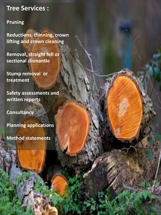 Tree Services :
Pruning
Reductions, thinning, crown
lifting and crown cleaning
Removal, straight fell or
sectional dismantle
Stump removal or
treatment
Safety assessments and
written reports
Consultancy
Planning applications
Method statements
 