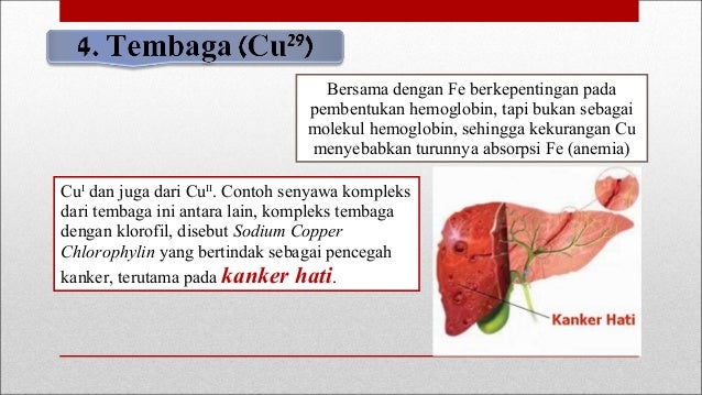 Mineral yang terdapat dalam tubuh