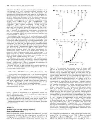 and culture have been described previously (Gopalakrishnan et al.,
1996; Buisson et al., 1998). Whole-cell currents recorded with an
Axopatch 200B ampliﬁer were ﬁltered at 1 kHz and sampled at 5 kHz
by a PCI card (National Instrument) and stored on the hard disk of a
Macintosh computer. Compared with our previous studies (Buisson et
al., 1996; Buisson and Bertrand, 1998), the saline solutions were
modiﬁed as indicated to increase the current stability. Cells were
recorded at room temperature in the following extracellular medium
(in mM): 130 NaCl, 5 KCl, 2 CaCl2, 2 MgCl2, 10 HEPES, pH 7.4 with
NaOH. Borosilicate electrodes (3–8 M⍀) were ﬁlled with (in mM): 130
K-gluconate, 5 NaCl, 2 MgCl2, 10 HEPES, 5 EGTA, pH 7.4 with
KOH. Under these conditions, the single-channel activity of human
muscle nAChRs recorded in outside-out patches pulled from TE-671
cells could last up to 40 min when elicited with a low ACh concentra-
tion. To minimize the capacitance in single-channel recordings, elec-
trodes were coated with Sylgard (Dow Corning). Single-channel cur-
rents were sampled at 10 kHz. The reversal potential of ␣4␤2 nAChRs
was determined at Ϫ1 mV (n ϭ 5).
Unless indicated, after removal from the incubator (Ϯ chronic nAChR
ligand), cells were washed thoroughly twice with recording medium and
placed on the stage of a inverted Zeiss microscope. On average, Ͻ5 min
was necessary before the whole-cell recording conﬁguration was estab-
lished. To avoid modiﬁcation of the cell conditions, a single cell was
recorded per Petri dish, and cells were recorded alternately between
control and chronic-treated dishes. To evoke short responses, agonists
were delivered using a modiﬁed liquid ﬁlament made of a piezo-driven
glass theta tube (ﬁnal diameter of ϳ150 ␮m, pulled from 1.5 mm
diameter theta borosilicate tubing). One channel was connected to a
16-tube barrel and the other one to an 8-tube barrel. Barrels were
produced by gluing 200 ␮m polyethylene tubing in the opening of a 1 ml
plastic syringe. In each channel, gravity-driven solutions ﬂowed at a rate
of 120 ␮l/min per channel. Dose–response curves including nine con-
centration points could be measured in Ͻ3 min.
No differences in the fraction of responsive cells could be detected
among experimental conditions. More than 95% of the cells responded to
Ach, and every cell presenting a measurable current was taken into
account. Cells were held at Ϫ100 mV throughout the experiment. All
drugs were prepared daily from stock solutions.
Neuronal ␣4␤2 nAChR dose–response curves could be described by
the sum of two empirical Hill equations comparable to that used by
Covernton and Connolly (2000):
y ϭ Imax*͓a1/͑1 ϩ ͑EC50H/x͒nH1
͒ ϩ ͑1 Ϫ a1͒/͑1 ϩ ͑EC50L/x͒nH2
͔͒. (1)
Imax is the maximal current amplitude, and x is the agonist concentration.
EC50H, nH1, and a1 are the half-effective concentration, the Hill coef-
ﬁcient, and the percentage of receptors in the high-afﬁnity state, whereas
EC50L and nH2 are the half-effective concentration and the Hill coefﬁ-
cient in the low-afﬁnity state. In some cases, a single Hill equation y ϭ
Imax*{1/(1 ϩ (EC50/x)nH
)} was used for comparison of the ﬁt with
Equation 1. Imax, EC50, and nH have the same signiﬁcation.
The time course of desensitization to ACh was analyzed with a
mono-exponential in the form:
y ϭ ϪA*exp(Ϫt/␶) Ϫ B, (2)
where y ϭ current (in picoamperes), A (in picoamperes), ␶ (time con-
stant, in milliseconds), and B (current at equilibrium, in picoamperes),
and t ϭ time (in milliseconds).
Frequency of openings was computed as the ratio between integrals of
the Gaussian functions that ﬁt opening events and the integral of the
Gaussians that ﬁt the zero-current baseline (electrode ϩ setup noise).
Data are expressed as mean Ϯ SEM with n as the number of indepen-
dent measurements.
RESULTS
Human ␣4␤2 nAChRs display biphasic
dose–response proﬁles
Analysis of the peak current amplitude as a function of the ACh
concentration revealed that dose–response curves could not be
ﬁtted properly by a single Hill equation (Fig. 1A, dashed line). A
better ﬁt of the mean values was obtained, however, using two
Hill equations corresponding to a low- and a high-afﬁnity com-
ponent (Fig. 1A, continuous curves, Table 1). Best ﬁts yielded
high-afﬁnity coefﬁcients of EC50H ϭ 1.6 Ϯ 0.07 ␮M and nH1 ϭ
0.95 Ϯ 0.02, whereas the low-afﬁnity values were EC50L ϭ 62 Ϯ
Figure 1. Two-component dose–response curves of human ␣4␤2
nAChRs. A, Increasing ACh concentrations (200 msec pulses) were
delivered every 15 sec. Typical traces of ACh-evoked currents are pre-
sented at the top. Horizontal bars indicate the ACh pulses with the
concentration values (in micromolar). The fast desensitization and the
current rebound observed at the end of the application pulse (1000 ␮M
ACh) might indicate an open-channel block by the high ACh concentra-
tion. Mean current amplitudes were plotted as a function of the ACh
concentration on a semilogarithmic scale (n ϭ 12). The dashed line
corresponds to the best ﬁt that can be drawn using a single Hill equation
(EC50 ϭ 30 ␮M and nH ϭ 0.8). A better ﬁt is obtained with the sum of two
Hill equations (continuous line) yielding high-afﬁnity coefﬁcients of
EC50H ϭ 1.60 ␮M and nH1 ϭ 0.92, whereas the low-afﬁnity values are
EC50L ϭ 68 ␮M and nH2 ϭ 1.60. The fraction of high- and low-afﬁnity
states are 25 and 75%, respectively. B, The same protocol as in A was
repeated for the determination of the ␣4␤2 nAChR sensitivity toward
nicotine. Currents were then elicited with increasing concentrations of
nicotine (top). Horizontal bars indicate the nicotine pulses with the con-
centration values (in micromolar). Mean current amplitudes were plotted
as a function of the nicotine concentration on a semilogarithmic scale
(n ϭ 11). The dashed line corresponds to the best ﬁt that can be drawn
using a single Hill equation (EC50 ϭ 10 ␮M and nH ϭ 1.30). A better ﬁt
is obtained with the sum of two Hill equations (thick line) yielding
high-afﬁnity coefﬁcients of EC50H ϭ 2.4 ␮M and nH1 ϭ 0.91, whereas the
low-afﬁnity values are EC50L ϭ 14.5 ␮M and nH2 ϭ 1.53. The fractions of
high- and low-afﬁnity states are 25 and 75%, respectively. For comparison,
the ACh dose–response proﬁle is scaled up to the maximal nicotine-
evoked current ( gray line). Note that the low-afﬁnity component is much
more sensitive to nicotine than to ACh.
1820 J. Neurosci., March 15, 2001, 21(6):1819–1829 Buisson and Bertrand • Functional Upregulated ␣4␤2 Nicotinic Receptors
 