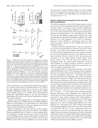 1990), incorporation of an internal pool of preexisting receptors,
or a decrease of the turnover of receptors (Peng et al., 1994). It
has been suggested recently that in contrast to cell surface
nAChRs, intracellular receptors of the oocyte present a higher
agonist afﬁnity (Fenster et al., 1999b). Then, incorporation of
intracellular “high-afﬁnity receptors” into the cell membrane
could explain the increase in the fraction of high-afﬁnity receptors
that we have observed.
Second, it has been suggested that in the plasma membrane,
nAChRs could exist in two different states with different afﬁnities
(Bhat et al., 1994; Shafaee et al., 1999; Vallejo et al., 1999). In this
context, upregulation may be viewed as a change in the ratio of
receptors between different states (Table 1).
Because incubation of the cells with the protein synthesis
inhibitor cycloheximide (20 ␮M) had no effect on the DH␤E-
induced upregulation (Fig. 5A, Table 1), it seems unlikely that de
novo synthesis of receptor proteins may account for the effects
caused by DH␤E exposure. As presented in Figure 5, B and C, the
upregulation process could fully reverse within a few hours after
DH␤E removal. Both current amplitudes and current proﬁles
returned back to control conditions within 6–9 hr after DH␤E
removal (see typical traces presented in Fig. 5C). Moreover, the
fraction of nAChRs in the high-afﬁnity state decreased back to
the control 25% (n ϭ 7).
Distinct single-channel properties at low and high
ACh concentrations
The initial investigation of ␣4␤2 nAChR single channels revealed
one key feature of these ligand-gated channels: their propensity to
run down within a few minutes when recorded in outside-out
patches from the oocyte membrane (Ballivet et al., 1988; Cooper
et al., 1991). These properties have been reported thereafter in
different cell systems (Pereira et al., 1994; Buisson et al., 1996).
To overcome this difﬁculty, single-channel activities have been
recorded using the cell-attached conﬁguration (Papke et al., 1989;
Charnet et al., 1992; Ragozzino et al., 1997), an alternative
protocol in which nAChRs are continuously exposed to ACh
within the pipette. Because of this, nAChRs may enter into
desensitized states.
Outside-out patches pulled from K-177 cells were exposed to
0.1 and 30 ␮M concentrations of ACh that can activate either
the high- or the high- and low-afﬁnity components. At a low
ACh concentration, single-channel activities could be recorded
for up to 6 min (allowing 36 sweeps of ACh applications in the
best conditions). However, when the ACh concentration was
increased to 30 ␮M, single-channel activities always disap-
peared within 2 min. The low setup noise allowed us to
investigate further the single-channel properties of human
␣4␤2 nAChRs at a higher resolution. Statistical analysis of
cumulative all-point amplitude histograms revealed the exis-
tence of multiple conductance levels.
In agreement with our initial characterization of the human
␣4␤2 nAChR (Buisson et al., 1996), openings of large amplitudes
(Fig. 6A) were always observed when the patch was exposed to a
low ACh concentration (100 nM; n ϭ 30), which may activate
exclusively nAChRs in the high-afﬁnity state. However, when the
same patch was exposed to a higher ACh concentration (30 ␮M)
(Fig. 6A), lower conductances were observed more clearly. This
observation has been made regarding the seven patches that could
be successively recorded under 0.1 and 30 ␮M ACh. Best ﬁt of the
all-point amplitude histograms (data not shown) could be per-
formed using ﬁve elementary current amplitudes yielding to con-
ductances of 16.7 Ϯ 0.5, 23.5 Ϯ 0.4, 31.6 Ϯ 0.4, 38.8 Ϯ 0.5, and
43.4 Ϯ 0.5 pS (n ϭ 7). In correlation with the statistical analysis,
different elementary current amplitudes were repetitively ob-
served (Fig. 6A). Such conductance levels have been reported
previously in other studies performed with ␣4␤2 nAChRs of
different species (Ballivet et al., 1988; Papke et al., 1989; Charnet
et al., 1992; Pereira et al., 1994; Ramirez-Latorre et al., 1996;
Ragozzino et al., 1997), including human (Buisson et al., 1996;
Kuryatov et al., 1997; Nelson et al., 1999). To illustrate the change
in the opening amplitudes observed when the ACh concentration
was raised from 100 nM to 30 ␮M, conductance events were
normalized for each ACh concentration (Fig. 6B). These data
suggest that low-conductance openings occurred more frequently
at 30 ␮M ACh. Thus, we propose that the high conductances (38.8
and 43.4 pS) could correspond to the opening of the high-afﬁnity
receptors, whereas the low conductances (16.7, 23.5, and 31.6 pS)
could reveal the opening of low-afﬁnity receptors.
Figure 5. Human ␣4␤2 nAChR upregulation is independent of protein
synthesis and reverses within a few hours. A, Addition in the culture
medium of the protein synthesis inhibitor cycloheximide (20 ␮M) had no
effect on the maximal ACh-evoked current (1 mM, 200 msec) recorded in
control (n ϭ 10) or after chronic exposure to DH␤E (10 ␮M, n ϭ 11)
(Table 1). B, DH␤E upregulation was reversible within a few hours.
Current amplitudes evoked by saturating ACh concentration (1 mM, 200
msec) were measured in a series of cells in control (n ϭ 22) after
overnight exposure to DH␤E (n ϭ 22) or after overnight exposure to
DH␤E (15 hr) with an additional 6–9 hr recovery period after DH␤E
removal (n ϭ 7) (see Table 1 for the values). C, ACh-evoked currents
return back to control amplitude and desensitization proﬁles after DH␤E
removal. Representative ACh-evoked currents recorded in control (top
traces), after DH␤E exposure (middle traces), and after recovery (bottom
traces) are illustrated. Horizontal bars correspond to the ACh applications
with concentration values (identical for traces in a vertical column).
1824 J. Neurosci., March 15, 2001, 21(6):1819–1829 Buisson and Bertrand • Functional Upregulated ␣4␤2 Nicotinic Receptors
 
