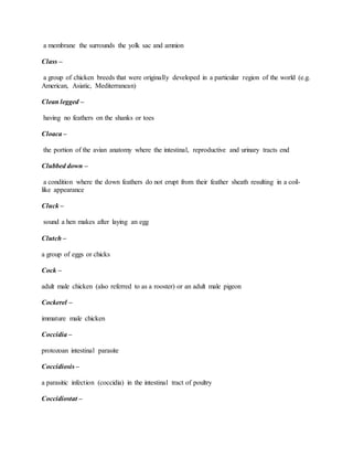 Poultry Terminology Worksheet.pdf poultry terms | DOCX