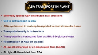 Abscisic Acid.pptx