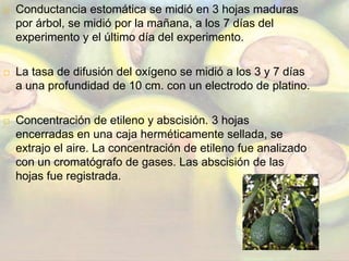 RESULTADOSRespuestas en el Experimento 1: a corto plazo la hipoxia raíz. 