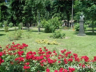 Gradski park 
