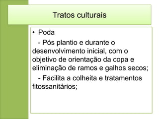 Tratos culturais

• Poda
   - Pós plantio e durante o
desenvolvimento inicial, com o
objetivo de orientação da copa e
eliminação de ramos e galhos secos;
   - Facilita a colheita e tratamentos
fitossanitários;
 