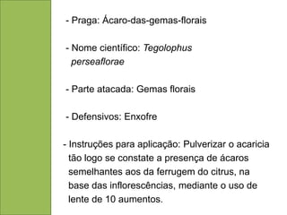 - Praga: Ácaro-das-gemas-florais

- Nome científico: Tegolophus
  perseaflorae

- Parte atacada: Gemas florais

- Defensivos: Enxofre

- Instruções para aplicação: Pulverizar o acaricia
  tão logo se constate a presença de ácaros
  semelhantes aos da ferrugem do citrus, na
  base das inflorescências, mediante o uso de
  lente de 10 aumentos.
 
