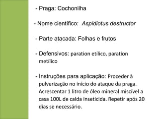 - Praga: Cochonilha

- Nome científico: Aspidiotus destructor

- Parte atacada: Folhas e frutos

- Defensivos: paration etílico, paration
  metílico

- Instruções para aplicação: Proceder à
  pulverização no início do ataque da praga.
  Acrescentar 1 litro de óleo mineral miscível a
  casa 100L de calda inseticida. Repetir após 20
  dias se necessário.
 