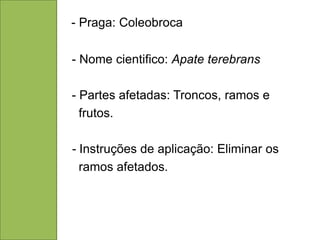 - Praga: Coleobroca

- Nome cientifico: Apate terebrans

- Partes afetadas: Troncos, ramos e
  frutos.

- Instruções de aplicação: Eliminar os
  ramos afetados.
 