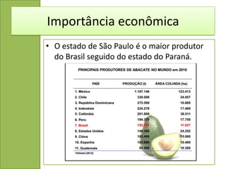 Importância econômica
• O estado de São Paulo é o maior produtor
  do Brasil seguido do estado do Paraná.
 