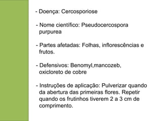 - Doença: Cercosporiose

- Nome científico: Pseudocercospora
  purpurea

- Partes afetadas: Folhas, inflorescências e
  frutos.

- Defensivos: Benomyl,mancozeb,
  oxicloreto de cobre

- Instruções de aplicação: Pulverizar quando
  da abertura das primeiras flores. Repetir
  quando os frutinhos tiverem 2 a 3 cm de
  comprimento.
 