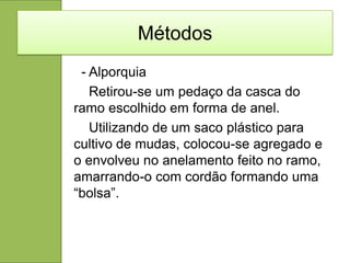 Métodos
 - Alporquia
   Retirou-se um pedaço da casca do
ramo escolhido em forma de anel.
   Utilizando de um saco plástico para
cultivo de mudas, colocou-se agregado e
o envolveu no anelamento feito no ramo,
amarrando-o com cordão formando uma
“bolsa”.
 