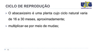 CICLO DE REPRODUÇÃO
    O abacaxizeiro é uma planta cujo ciclo natural varia
     de 16 a 30 meses, aproximadamente;

    multiplicar-se por meio de mudas;




    11
 