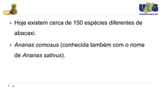        Hoje existem cerca de 150 espécies diferentes de
        abacaxi.

       Ananas comosus (conhecida também com o nome
        de Ananas sativus).




    4
 