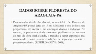 DADOS SOBRE FLORESTA DO
ARAGUAIA-PA
• Denominado cidade do abacaxi, o município de Floresta do
Araguaia/PA possui cerca de 19 mil habitantes e uma colheita que
proporciona em média 3 mil empregos diretos e indiretos. No
entanto, os produtores ainda encontram problemas com escassez
de mão de obra local, e ainda, o trabalho é super explorado, mal
remunerado e com poucas condições de segurança durante o
processo produtivo (RIBEIRO e SILVA, 2018).
 