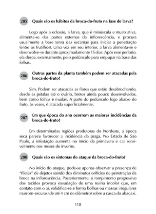 118
285	 Quais são os hábitos da broca-do-fruto na fase de larva?
Logo após a eclosão, a larva, que é minúscula e muito ativa,
alimenta-se das partes externas da inflorescência, e procura
usualmente a base tenra das escamas para iniciar a penetração
(entre os frutilhos). Uma vez em seu interior, a larva alimenta-se e
desenvolve-se durante aproximadamente 15 dias. Após esse período,
ela desce, externamente, pelo pedúnculo para empupar na base das
folhas.
286	
Outras partes da planta também podem ser atacadas pela
broca-do-fruto?
Sim. Podem ser atacadas as flores que estão desabrochando,
desde as pétalas até o ovário, brotos ainda pouco desenvolvidos,
bem como folhas e mudas. A parte do pedúnculo logo abaixo do
fruto, às vezes, é atacada superficialmente.
287	
Em que época do ano ocorrem as maiores incidências da
broca-do-fruto?
Em determinadas regiões produtoras do Nordeste, a época
seca parece favorecer a incidência da praga. No Estado de São
Paulo, a infestação aumenta no início da primavera e cai sensi­
velmente nos meses de inverno.
288	 Quais são os sintomas do ataque da broca-do-fruto?
No início do ataque, pode-se apenas observar a presença de
“filetes” de dejetos saindo dos diminutos orifícios de penetração da
broca na inflorescência. Posteriormente, o rompimento progressivo
dos tecidos provoca exsudação de uma resina incolor que, em
contato com o ar, solidifica-se e forma bolhas ou massas irregulares
marrom-escuras (de até 4 cm de diâmetro) sobre a casca do abacaxi.
 