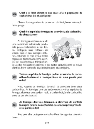 127
320	
Qual é o fator climático que mais afta a população de
cochonilhas-do-abacaxizeiro?
Chuvas fortes geralmente provocam diminuição na infestação
dessa praga.
321	
Qual é o papel das formigas na ocorrência da cochonilha-
do-abacaxizeiro?
As formigas alimentam-se de
uma substância adocicada produ-
zida pelas cochonilhas e, em tro-
ca, protegem suas colônias do
tempo ruim e dos inimigos natu-
rais, cobrindo-as com terra e restos
orgânicos. Funcionam como agen-
tes de disseminação transportan-
do-as dos hospedeiros nativos e dos restos culturais para os novos
plantios, bem como de abacaxizeiro para abacaxizeiro.
322	
Todas as espécies de formigas podem se associar às cocho­
nilhas-do-abacaxi e transportá-las de uma planta para
outra?
Não. Apenas as formigas doceiras se associam com essas
cochonilhas. As formigas lava-pés estão entre as várias espécies de
formigas doceiras que podem realizar a distribuição da cochonilha
entre os pés de abacaxi.
323	
As formigas doceiras diminuem a eficiência do controle
biológico natural da cochonilha-do-abacaxi pelos predado­
res e parasitoides?
Sim, pois elas protegem as cochonilhas dos agentes controla­
dores.
 