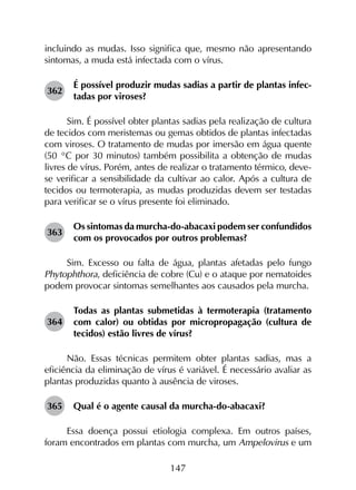 147
incluindo as mudas. Isso significa que, mesmo não apresentando
sintomas, a muda está infectada com o vírus.
362	
É possível produzir mudas sadias a partir de plantas infec­
tadas por viroses?
Sim. É possível obter plantas sadias pela realização de cultura
de tecidos com meristemas ou gemas obtidos de plantas infectadas
com viroses. O tratamento de mudas por imersão em água quente
(50 °C por 30 minutos) também possibilita a obtenção de mudas
livres de vírus. Porém, antes de realizar o tratamento térmico, deve-
se verificar a sensibilidade da cultivar ao calor. Após a cultura de
tecidos ou termoterapia, as mudas produzidas devem ser testadas
para verificar se o vírus presente foi eliminado.
363	
Os sintomas da murcha-do-abacaxi podem ser confundidos
com os provocados por outros problemas?
Sim. Excesso ou falta de água, plantas afetadas pelo fungo
Phytophthora, deficiência de cobre (Cu) e o ataque por nematoides
podem provocar sintomas semelhantes aos causados pela murcha.
364	
Todas as plantas submetidas à termoterapia (tratamento
com calor) ou obtidas por micropropagação (cultura de
tecidos) estão livres de vírus?
Não. Essas técnicas permitem obter plantas sadias, mas a
eficiência da eliminação de vírus é variável. É necessário avaliar as
plantas produzidas quanto à ausência de viroses.
365	 Qual é o agente causal da murcha-do-abacaxi?
Essa doença possui etiologia complexa. Em outros países,
foram encontrados em plantas com murcha, um Ampelovirus e um
 