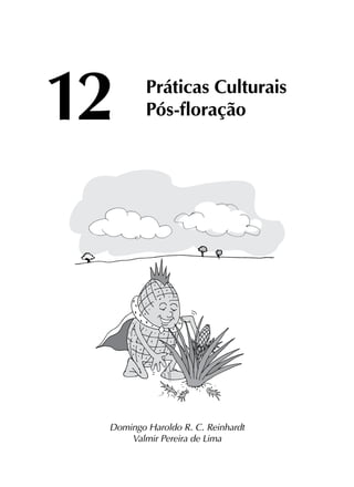 12	
Práticas Culturais
	Pós-floração
Domingo Haroldo R. C. Reinhardt
Valmir Pereira de Lima
 