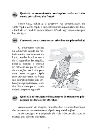 161
405	
Quais são as concentrações do ethephon usadas no trata­
mento pós-colheita dos frutos?
Nesse caso, utiliza-se o ethephon nas concentrações de
1.000 mg/L a 2.000 mg/L, o que corresponde à quantidade de 4 mL
a 8 mL de um produto comercial com 24% de ingrediente ativo por
litro de água.
406	 Como se faz o tratamento com ethephon em pós-colheita?
O tratamento consiste
na submersão rápida da me-
tade inferior dos frutos na so-
lução de ethephon (por cerca
de 10 segundos). Em seguida,
deixa-se escorrer o excesso
de calda no recipiente, antes
da remoção dos frutos para
uma breve secagem. Após
esse procedimento, os frutos
são acondicionados em em-
balagens apropriadas ou leva-
dos diretamente para o cami-
nhão (transporte a granel).
407	
Quais são as vantagens e desvantagens do tratamento pós-
colheita dos frutos com ethephon?
As mudas não são atingidas pelo ethephon e o amarelecimento
da casca é mais uniforme e mais rápido, o que é desejável.
A desvantagem é a exigência de mais mão de obra para o
manejo pós-colheita dos frutos.
 