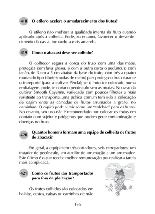 166
418	 O etileno acelera o amadurecimento dos frutos?
O etileno não melhora a qualidade interna do fruto quando
aplicado após a colheita. Pode, no entanto, favorecer o desverde­
cimento da casca, tornando-a mais amarela.
419	 Como o abacaxi deve ser colhido?
O colhedor segura a coroa do fruto com uma das mãos,
protegida com luva grossa, e com a outra corta o pedúnculo com
facão, de 3 cm a 5 cm abaixo da base do fruto, com três a quatro
mudas do tipo filhote (mudas de cacho) para proteger o fruto durante
o transporte (para a cultivar Pérola); se o fruto for colocado numa
embalagem, pode-se cortar o pedúnculo sem as mudas. No caso da
cultivar Smooth Cayenne, variedade com poucos filhotes e mais
resistente ao transporte, uma prática comum tem sido a colocação
de capim entre as camadas de frutos arrumados a granel no
caminhão. O capim pode servir como um “colchão” para os frutos.
No entanto, seu uso não é recomendado por colocar os frutos em
contato com sujeira e patógenos que podem gerar contaminação e
doenças no fruto.
420	
Quantos homens formam uma equipe de colheita de frutos
de abacaxi?
Em geral, a equipe tem três cortadores, seis carregadores, um
tratador de pedúnculo, um auxiliar de arrumação e um arrumador.
Este último é o que recebe melhor remuneração por realizar a tarefa
mais complicada.
421	 Como os frutos são transportados
para fora da plantação?
Os frutos colhidos são colocados em
balaios, cestos, caixas ou carrinhos de mão
 