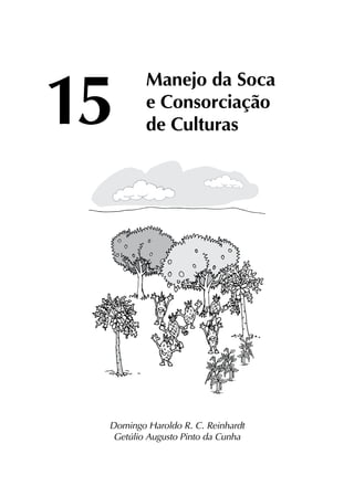 15	
Manejo da Soca
	 e Consorciação
	 de Culturas
Domingo Haroldo R. C. Reinhardt
Getúlio Augusto Pinto da Cunha
 