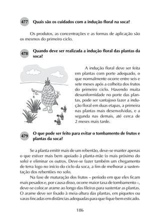 186
477	 Quais são os cuidados com a indução floral na soca?
Os produtos, as concentrações e as formas de aplicação são
os mesmos do primeiro ciclo.
478	
Quando deve ser realizada a indução floral das plantas da
soca?
A indução floral deve ser feita
em plantas com porte adequado, o
que normalmente ocorre entre seis e
sete meses após a colheita dos frutos
do primeiro ciclo. Havendo muita
desuniformidade no porte das plan­
tas, pode ser vantajoso fazer a indu­
ção floral em duas etapas, a primeira
nas plantas mais desenvolvidas, e a
segunda nas demais, até cerca de
2 meses mais tarde.
479	
O que pode ser feito para evitar o tombamento de frutos e
plantas da soca?
Se a planta emitir mais de um rebentão, deve-se manter apenas
o que estiver mais bem apoiado à planta-mãe (o mais próximo do
solo) e eliminar os outros. Deve-se fazer também um chegamento
de terra logo no início do ciclo da soca, a fim de melhorar a susten­
tação dos rebentões no solo.
Na fase de maturação dos frutos – período em que eles ficam
mais pesados e, por causa disso, ocorre maior taxa de tombamento –,
deve-se colocar arame ao longo das fileiras para sustentar as plantas.
O arame deve ser fixado à meia-altura das plantas, em piquetes ou
varas fincadas em distâncias adequadas para que fique bem esticado.
 