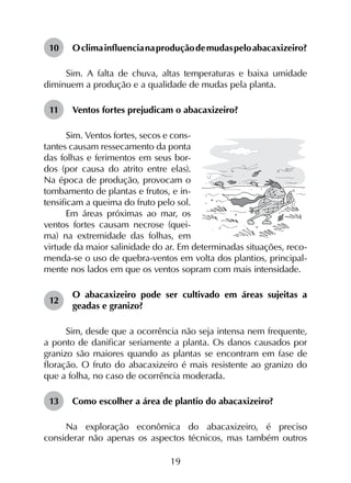 19
10	 Oclimainfluencianaproduçãodemudaspeloabacaxizeiro?
Sim. A falta de chuva, altas temperaturas e baixa umidade
diminuem a produção e a qualidade de mudas pela planta.
11	 Ventos fortes prejudicam o abacaxizeiro?
Sim. Ventos fortes, secos e cons-
tantes causam ressecamento da ponta
das folhas e ferimentos em seus bor-
dos (por causa do atrito entre elas).
Na época de produção, provocam o
tombamento de plantas e frutos, e in-
tensificam a queima do fruto pelo sol.
Em áreas próximas ao mar, os
ventos fortes causam necrose (quei-
ma) na extremidade das folhas, em
virtude da maior salinidade do ar. Em determinadas situações, reco-
menda-se o uso de quebra-ventos em volta dos plantios, principal-
mente nos lados em que os ventos sopram com mais intensidade.
12	
O abacaxizeiro pode ser cultivado em áreas sujeitas a
geadas e granizo?
Sim, desde que a ocorrência não seja intensa nem frequente,
a ponto de danificar seriamente a planta. Os danos causados por
granizo são maiores quando as plantas se encontram em fase de
floração. O fruto do abacaxizeiro é mais resistente ao granizo do
que a folha, no caso de ocorrência moderada.
13	 Como escolher a área de plantio do abacaxizeiro?
Na exploração econômica do abacaxizeiro, é preciso
considerar não apenas os aspectos técnicos, mas também outros
 