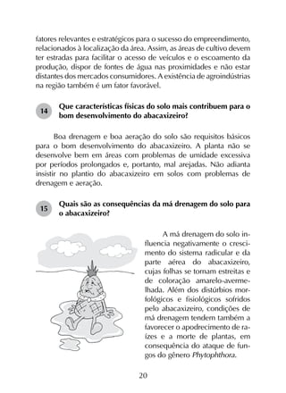 20
fatores relevantes e estratégicos para o sucesso do empreendimento,
relacionados à localização da área. Assim, as áreas de cultivo devem
ter estradas para facilitar o acesso de veículos e o escoamento da
produção, dispor de fontes de água nas proximidades e não estar
distantes dos mercados consumidores. A existência de agroindústrias
na região também é um fator favorável.
14	
Que características físicas do solo mais contribuem para o
bom desenvolvimento do abacaxizeiro?
Boa drenagem e boa aeração do solo são requisitos básicos
para o bom desenvolvimento do abacaxizeiro. A planta não se
desenvolve bem em áreas com problemas de umidade excessiva
por períodos prolongados e, portanto, mal arejadas. Não adianta
insistir no plantio do abacaxizeiro em solos com problemas de
drenagem e aeração.
15	
Quais são as consequências da má drenagem do solo para
o abacaxizeiro?
A má drenagem do solo in-
fluencia negativamente o cresci-
mento do sistema radicular e da
parte aérea do abacaxizeiro,
cujas folhas se tornam estreitas e
de coloração amarelo-averme-
lhada. Além dos distúrbios mor-
fológicos e fisiológicos sofridos
pelo abacaxizeiro, condições de
má drenagem tendem também a
favorecer o apodrecimento de ra-
ízes e a morte de plantas, em
consequência do ataque de fun-
gos do gênero Phytophthora.
 