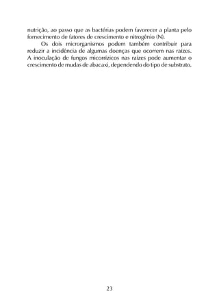 23
nutrição, ao passo que as bactérias podem favorecer a planta pelo
fornecimento de fatores de crescimento e nitrogênio (N).
Os dois microrganismos podem também contribuir para
reduzir a incidência de algumas doenças que ocorrem nas raízes.
A inoculação de fungos micorrízicos nas raízes pode aumentar o
crescimento de mudas de abacaxi, dependendo do tipo de substrato.
 