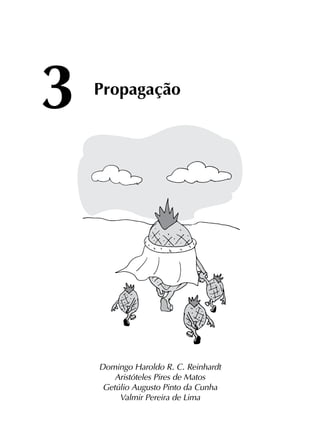 3	
Propagação
Domingo Haroldo R. C. Reinhardt
Aristóteles Pires de Matos
Getúlio Augusto Pinto da Cunha
Valmir Pereira de Lima
 