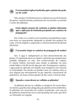43
78	
É recomendável aplicar herbicidas após o plantio dos peda­
ços de caule?
Não, porque o herbicida provoca redução na taxa de brotação
das gemas, amarelecimento, paralisação do crescimento, secamento
e morte das plântulas.
79	
Existe alguma maneira de controlar as plantas infestantes
após a aplicação do herbicida pré-plantio nos canteiros de
propagação?
Sim. Cobre-se o canteiro com um plástico de polietileno negro,
com furos no espaçamento adequado ao plantio dos pedaços de
caule, a fim de impedir o surgimento e o desenvolvimento de plantas
infestantes.
80	 É necessário irrigar os canteiros de propagação de mudas?
Sim. A água é indispensável ao bom desenvolvimento das
plantas. O suprimento deve ser regular e suficiente para proporcionar
umidade adequada ao solo, sem encharcamento do canteiro.
O volume mínimo necessário para manter as plântulas em bom
estado hídrico é de 80 mm de água por mês. Em pequenos canteiros,
a água pode ser aplicada com regador e/ou mangueira com chuveiro
na extremidade. No entanto, em grandes áreas ou canteiros, deve-se
usar irrigação por microaspersão ou por aspersão convencional, de
preferência, nas horas menos quentes do dia, como o final da tarde.
81	 Quando e como devem ser colhidas as plântulas?
As plântulas devem ser colhidas ao atingirem 30 cm de altura,
no mínimo, quando estão adequadas para plantio em local definitivo.
As plântulas são arrancadas do canteiro umedecido, com uma pá
de jardineiro, juntamente com o resto do pedaço de caule, que deve
ser eliminado, em seguida.
 
