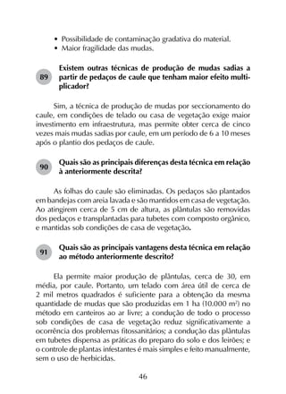 46
•	 Possibilidade de contaminação gradativa do material.
•	 Maior fragilidade das mudas.
89	
Existem outras técnicas de produção de mudas sadias a
partir de pedaços de caule que tenham maior efeito multi­
plicador?
Sim, a técnica de produção de mudas por seccionamento do
caule, em condições de telado ou casa de vegetação exige maior
investimento em infraestrutura, mas permite obter cerca de cinco
vezes mais mudas sadias por caule, em um período de 6 a 10 meses
após o plantio dos pedaços de caule.
90	
Quais são as principais diferenças desta técnica em relação
à anteriormente descrita?
As folhas do caule são eliminadas. Os pedaços são plantados
em bandejas com areia lavada e são mantidos em casa de vegetação.
Ao atingirem cerca de 5 cm de altura, as plântulas são removidas
dos pedaços e transplantadas para tubetes com composto orgânico,
e mantidas sob condições de casa de vegetação.
91	
Quais são as principais vantagens desta técnica em relação
ao método anteriormente descrito?
Ela permite maior produção de plântulas, cerca de 30, em
média, por caule. Portanto, um telado com área útil de cerca de
2 mil metros quadrados é suficiente para a obtenção da mesma
quantidade de mudas que são produzidas em 1 ha (10.000 m2
) no
método em canteiros ao ar livre; a condução de todo o processo
sob condições de casa de vegetação reduz significativamente a
ocorrência dos problemas fitossanitários; a condução das plântulas
em tubetes dispensa as práticas do preparo do solo e dos leirões; e
o controle de plantas infestantes é mais simples e feito manualmente,
sem o uso de herbicidas.
 