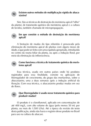 47
92	
Existem outros métodos de multiplicação rápida do abaca­
xizeiro?
Sim. São as técnicas de destruição do meristema apical (“olho”
da planta), de tratamento químico do meristema apical e a cultura
de tecidos, também chamada de micropropagação.
93	
Em que consiste o método de destruição do meristema
apical?
A brotação de mudas do tipo rebentão é provocada pela
eliminação do meristema apical de plantas com alguns meses de
idade, o que pode ser feito com uma espátula apropriada, introduzida
no centro da roseta foliar da planta, ou após a indução floral, por
meio da eliminação da inflorescência.
94	
Como funciona a técnica de tratamento químico do meris­
tema apical?
Essa técnica, usada em outros países onde há produtos
registrados para essa finalidade, consiste na aplicação de
fitorregulador de crescimento, do grupo das morfactinas, sobre o
abacaxizeiro, uma a duas semanas após a indução artificial da
floração. Com essa técnica, o abacaxizeiro produz mudas em vez
de flores.
95	
Que fitorregulador é usado nesse tratamento químico para
produzir mudas?
O produto é o cloroflurenol, aplicado em concentrações de
até 400 mg/L, com alto volume de água (pelo menos 50 mL por
planta, ou mais de 1.500 L/ha). Até a época da revisão do texto
desta publicação, ainda não havia o registro desse produto no Brasil
para uso na cultura do abacaxi.
 