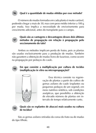 48
96	 Qual é a quantidade de mudas obtidas por esse método?
O número de mudas formadas em cada planta é muito variável,
podendo chegar a mais de 30, mas com peso médio inferior a 100 g
por muda. Isso implica a necessidade de enviveiramento para
crescimento adicional, antes do transplante para o campo.
97	
Quais são as vantagens e desvantagens desses dois últimos
métodos de propagação em relação à propagação pelo
seccionamento do talo?
Ambos os métodos implicam perda de frutos, pois as plantas
são usadas exclusivamente para a produção de mudas. Também
não garantem a obtenção de mudas livres de fusariose, como ocorre
na propagação por pedaços do caule.
98	
Em que consiste a multiplicação por cultura de tecidos
(multiplicação in vitro ou micropropagação)?
Essa técnica consiste na regene-
ração de plantas a partir do cultivo de
gemas axilares do caule (explantes ou
pequenos pedaços de um vegetal), em
meio nutritivo sintético, sob condições
assépticas, que possibilita a obtenção
de elevado número de plantas em in-
tervalo de tempo relativamente curto.
99	
Quais são os explantes de abacaxi mais usados na cultura
de tecidos?
São as gemas axilares retiradas da coroa do fruto ou de mudas
do tipo filhote.
 