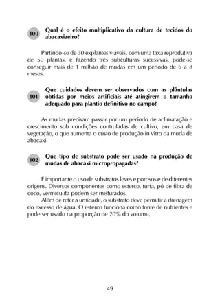 49
100	
Qual é o efeito multiplicativo da cultura de tecidos do
abacaxizeiro?
Partindo-se de 30 explantes viáveis, com uma taxa reprodutiva
de 50 plantas, e fazendo três subculturas sucessivas, pode-se
conseguir mais de 1 milhão de mudas em um período de 6 a 8
meses.
101	
Que cuidados devem ser observados com as plântulas
obtidas por meios artificiais até atingirem o tamanho
adequado para plantio definitivo no campo?
As mudas precisam passar por um período de aclimatação e
crescimento sob condições controladas de cultivo, em casa de
vegetação, o que aumenta o custo de produção in vitro da muda de
abacaxi.
102	
Que tipo de substrato pode ser usado na produção de
mudas de abacaxi micropropagadas?
É importante o uso de substratos leves e porosos e de diferentes
origens. Diversos componentes como esterco, turfa, pó de fibra de
coco, vermiculita podem ser misturados.
Além de reter a umidade, o substrato deve permitir a drenagem
do excesso de água. O esterco funciona como fonte de nutrientes e
pode ser usado na proporção de 20% do volume.
 