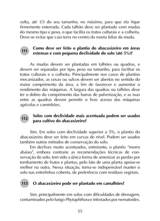 55
volta, até 1/3 do seu tamanho, no máximo, para que ela fique
firmemente enterrada. Cada talhão deve ser plantado com mudas
do mesmo tipo e peso, o que facilita os tratos culturais e a colheita.
Deve-se evitar que caia terra no centro da roseta foliar da muda.
111	
Como deve ser feito o plantio do abacaxizeiro em áreas
extensas e com pequena declividade do solo (até 5%)?
As mudas devem ser plantadas em talhões ou quadras, e
devem ser separadas por tipo, peso ou tamanho, para facilitar os
tratos culturais e a colheita. Principalmente nos casos de plantios
mecanizados, as covas ou sulcos devem ser abertos no sentido do
maior comprimento da área, a fim de favorecer e aumentar o
rendimento das máquinas. A largura das quadras ou talhões deve
ter o dobro do comprimento das barras de pulverização, e as ruas
entre as quadras devem permitir o livre acesso das máquinas
agrícolas e caminhões.
112	
Solos com declividade mais acentuada podem ser usados
para cultivo do abacaxizeiro?
Sim. Em solos com declividade superior a 5%, o plantio do
abacaxizeiro deve ser feito em curvas de nível. Podem ser usados
também outros métodos de conservação do solo.
Em declives muito acentuados, entretanto, o plantio “morro
abaixo”, embora contrarie as recomendações técnicas de con­
servação do solo, tem sido a única forma de amenizar as perdas por
tombamento de frutos e plantas, pelo fato de uma planta apoiar-se
melhor na outra. Nessa situação, torna-se indispensável manter o
solo nas entrelinhas coberto, de preferência com resíduos vegetais.
113	 O abacaxizeiro pode ser plantado em camalhões?
Sim, principalmente em solos com dificuldades de drenagem,
contaminados pelo fungo Phytophthora e infestados por nematoides.
 