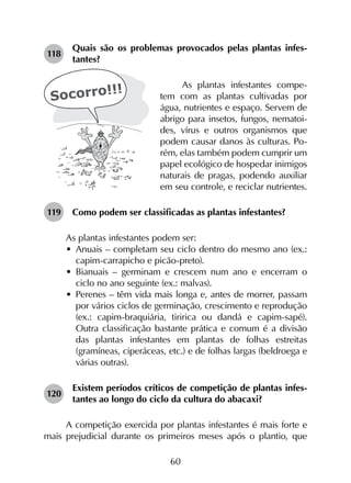 60
118	
Quais são os problemas provocados pelas plantas infes­
tantes?
As plantas infestantes compe-
tem com as plantas cultivadas por
água, nutrientes e espaço. Servem de
abrigo para insetos, fungos, nematoi-
des, vírus e outros organismos que
podem causar danos às culturas. Po-
rém, elas também podem cumprir um
papel ecológico de hospedar inimigos
naturais de pragas, podendo auxiliar
em seu controle, e reciclar nutrientes.
119	 Como podem ser classificadas as plantas infestantes?
As plantas infestantes podem ser:
•	 Anuais – completam seu ciclo dentro do mesmo ano (ex.:
capim-carrapicho e picão-preto).
•	 Bianuais – germinam e crescem num ano e encerram o
ciclo no ano seguinte (ex.: malvas).
•	 Perenes – têm vida mais longa e, antes de morrer, passam
por vários ciclos de germinação, crescimento e reprodução
(ex.: capim-braquiária, tiririca ou dandá e capim-sapé).
Outra classificação bastante prática e comum é a divisão
das plantas infestantes em plantas de folhas estreitas
(gramíneas, ciperáceas, etc.) e de folhas largas (beldroega e
várias outras).
120	
Existem períodos críticos de competição de plantas infes­
tantes ao longo do ciclo da cultura do abacaxi?
A competição exercida por plantas infestantes é mais forte e
mais prejudicial durante os primeiros meses após o plantio, que
 