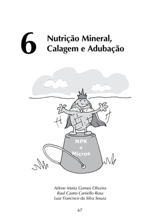 67
6	
Nutrição Mineral,
	 Calagem e Adubação
Arlene Maria Gomes Oliveira
Raul Castro Carriello Rosa
Luiz Francisco da Silva Souza
 