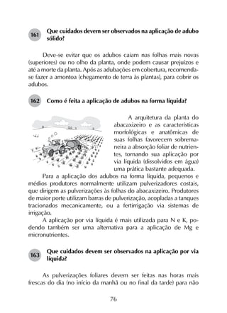 76
161	
Que cuidados devem ser observados na aplicação de adubo
sólido?
Deve-se evitar que os adubos caiam nas folhas mais novas
(superiores) ou no olho da planta, onde podem causar prejuízos e
até a morte da planta. Após as adubações em cobertura, recomenda-
se fazer a amontoa (chegamento de terra às plantas), para cobrir os
adubos.
162	 Como é feita a aplicação de adubos na forma líquida?
A arquitetura da planta do
abacaxizeiro e as características
morfológicas e anatômicas de
suas folhas favorecem sobrema-
neira a absorção foliar de nutrien-
tes, tornando sua aplicação por
via líquida (dissolvidos em água)
uma prática bastante adequada.
Para a aplicação dos adubos na forma líquida, pequenos e
médios produtores normalmente utilizam pulverizadores costais,
que dirigem as pulverizações às folhas do abacaxizeiro. Produtores
de maior porte utilizam barras de pulverização, acopladas a tanques
tracionados mecanicamente, ou a fertirrigação via sistemas de
irrigação.
A aplicação por via líquida é mais utilizada para N e K, po­
dendo também ser uma alternativa para a aplicação de Mg e
micronutrientes.
163	
Que cuidados devem ser observados na aplicação por via
líquida?
As pulverizações foliares devem ser feitas nas horas mais
frescas do dia (no início da manhã ou no final da tarde) para não
 
