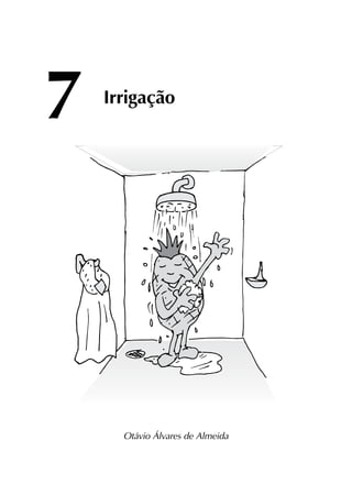 7	
Irrigação
Otávio Álvares de Almeida
 