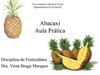 Abacaxi
Aula Prática
Universidade Federal do Ceará
Departamento de Fitotecnia
Disciplina de Fruticultura
Dra. Virna Braga Marques
 