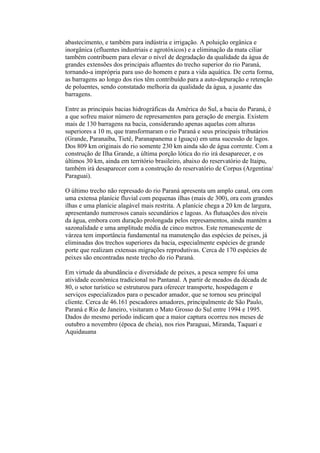 abastecimento, e também para indústria e irrigação. A poluição orgânica e
inorgânica (efluentes industriais e agrotóxicos) e a eliminação da mata ciliar
também contribuem para elevar o nível de degradação da qualidade da água de
grandes extensões dos principais afluentes do trecho superior do rio Paraná,
tornando-a imprópria para uso do homem e para a vida aquática. De certa forma,
as barragens ao longo dos rios têm contribuído para a auto-depuração e retenção
de poluentes, sendo constatado melhoria da qualidade da água, a jusante das
barragens.

Entre as principais bacias hidrográficas da América do Sul, a bacia do Paraná, é
a que sofreu maior número de represamentos para geração de energia. Existem
mais de 130 barragens na bacia, considerando apenas aquelas com alturas
superiores a 10 m, que transformaram o rio Paraná e seus principais tributários
(Grande, Paranaíba, Tietê, Paranapanema e Iguaçu) em uma sucessão de lagos.
Dos 809 km originais do rio somente 230 km ainda são de água corrente. Com a
construção de Ilha Grande, a última porção lótica do rio irá desaparecer, e os
últimos 30 km, ainda em território brasileiro, abaixo do reservatório de Itaipu,
também irá desaparecer com a construção do reservatório de Corpus (Argentina/
Paraguai).

O último trecho não represado do rio Paraná apresenta um amplo canal, ora com
uma extensa planície fluvial com pequenas ilhas (mais de 300), ora com grandes
ilhas e uma planície alagável mais restrita. A planície chega a 20 km de largura,
apresentando numerosos canais secundários e lagoas. As flutuações dos níveis
da água, embora com duração prolongada pelos represamentos, ainda mantém a
sazonalidade e uma amplitude média de cinco metros. Este remanescente de
várzea tem importância fundamental na manutenção das espécies de peixes, já
eliminadas dos trechos superiores da bacia, especialmente espécies de grande
porte que realizam extensas migrações reprodutivas. Cerca de 170 espécies de
peixes são encontradas neste trecho do rio Paraná.

Em virtude da abundância e diversidade de peixes, a pesca sempre foi uma
atividade econômica tradicional no Pantanal. A partir de meados da década de
80, o setor turístico se estruturou para oferecer transporte, hospedagem e
serviços especializados para o pescador amador, que se tornou seu principal
cliente. Cerca de 46.161 pescadores amadores, principalmente de São Paulo,
Paraná e Rio de Janeiro, visitaram o Mato Grosso do Sul entre 1994 e 1995.
Dados do mesmo período indicam que a maior captura ocorreu nos meses de
outubro a novembro (época de cheia), nos rios Paraguai, Miranda, Taquari e
Aquidauana
 