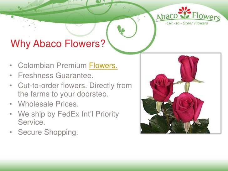 Abaco Flowers Wholesale Wedding Fresh Cut Flowers