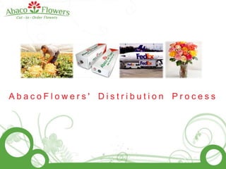 AbacoFlowers&apos; Distribution Process 