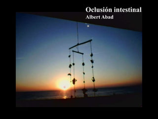 Oclusión intestinal
Albert Abad
 
