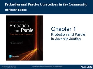 Probation and Parole: Corrections in the Community
Thirteenth Edition
Chapter 1
Probation and Parole
in Juvenile Justice
Copyright © 2018, 2015, 2012 Pearson Education, Inc. All Rights Reserved
 