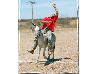 ????

????

????

????

????

????

????

????

????

????

 