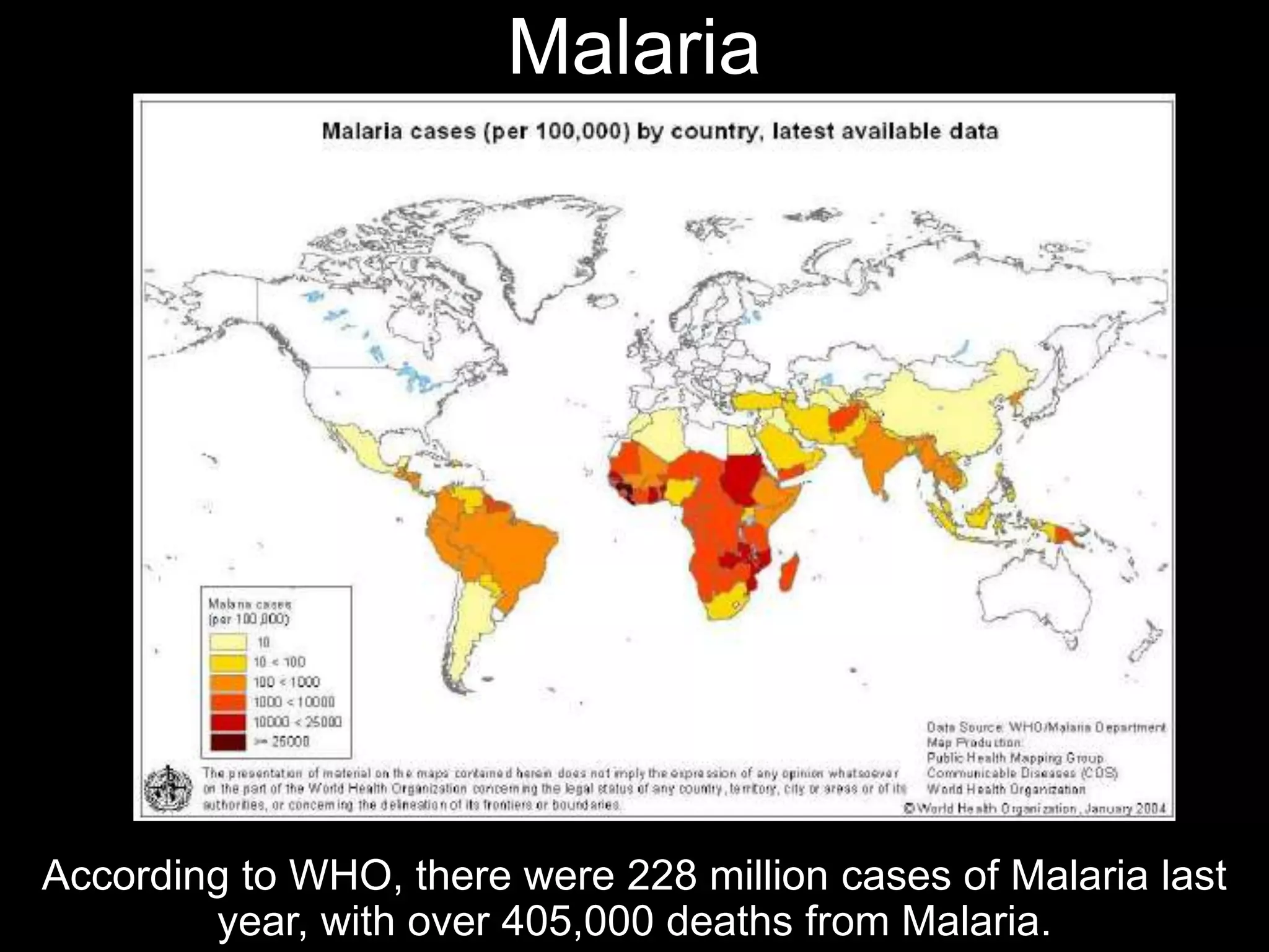 A Balanced and Biblical Response to Lockdowns & Masks
